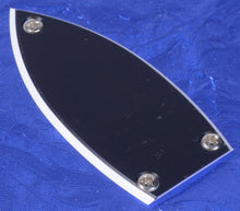 Load image into Gallery viewer, Nickel Oval Philips Head Truss Rod Cover Mounting Screws For Gretsch And More X12, #TRCS