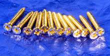 Load image into Gallery viewer, 12 Generic Gold Humbucking Neck Pickup Ring Mounting Wood Screws .551", #GNPR