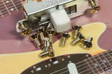 Load image into Gallery viewer, Fender Jazzmaster Jaguar Mustang Switch Screws X 12, 0015719049