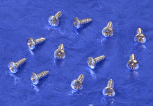 Load image into Gallery viewer, Nickel Oval Philips Head Truss Rod Cover Mounting Screws For Gretsch And More X12, #TRCS