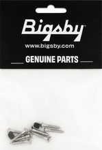 Load image into Gallery viewer, Bigsby Screw Pack, 1802775010
