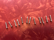Load image into Gallery viewer, 12 Nickel Plated Brass Escutcheon Pins For Mounting Tweed Amp Logos, #4EP
