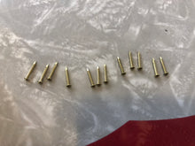Load image into Gallery viewer, 12  Bright Brass Escutcheon Pins For Mounting Tweed Amp Logos, #BBEP
