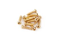 Load image into Gallery viewer, Fender Tuning Machine Mounting Screws, Gold, (12), 0018823049
