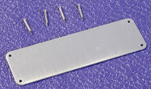 Load image into Gallery viewer, 12 Nickel Plated Brass Escutcheon Pins For Mounting Tweed Amp Logos, #4EP
