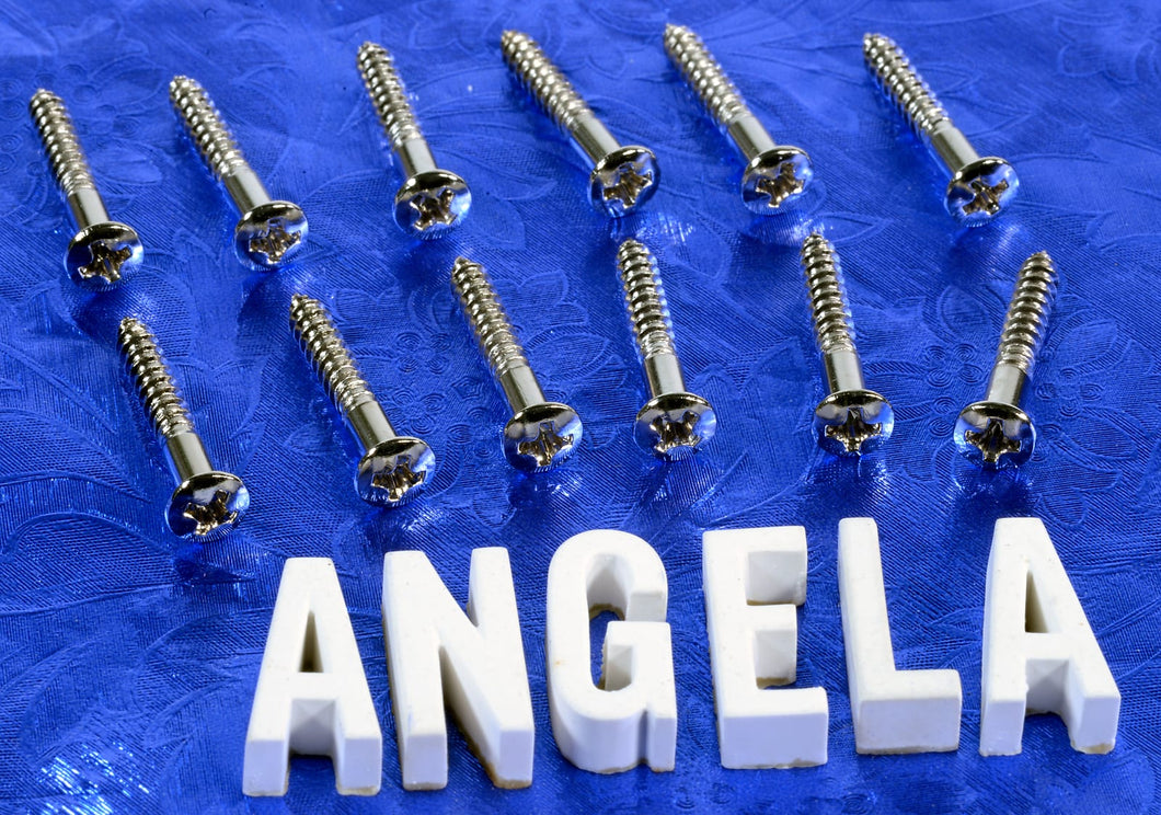 12 Generic Nickel Oval Phillips Head Bridge Plate Mounting Screws For Telecaster, #GTBS